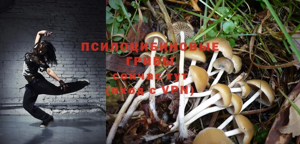 a pvp Аркадак