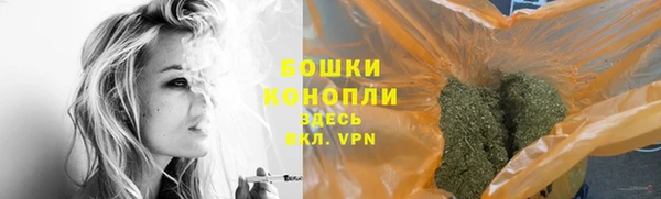 прущий лед Бородино