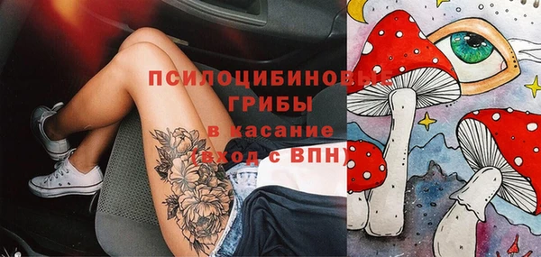 тгк Беломорск