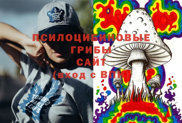 тгк Беломорск