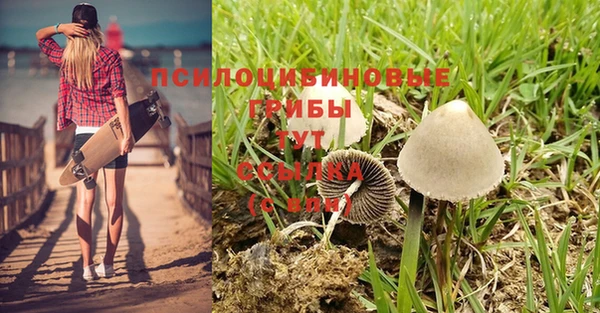 кокаин колумбия Белокуриха