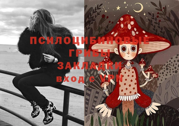 2c-b Бугульма