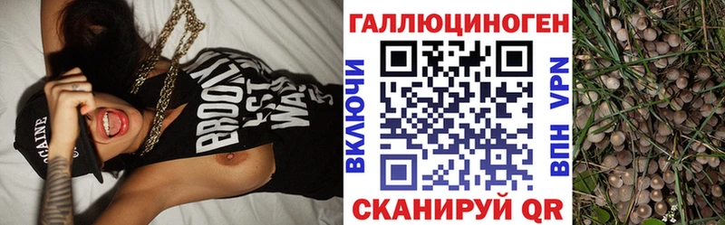 Псилоцибиновые грибы Cubensis Купить где Саянск